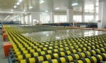 clear float glass